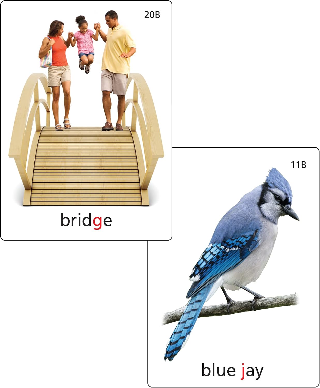 Super Duper Publications | Articulation Photos J Fun Deck Flash Cards | Educational Learning Resource for Children