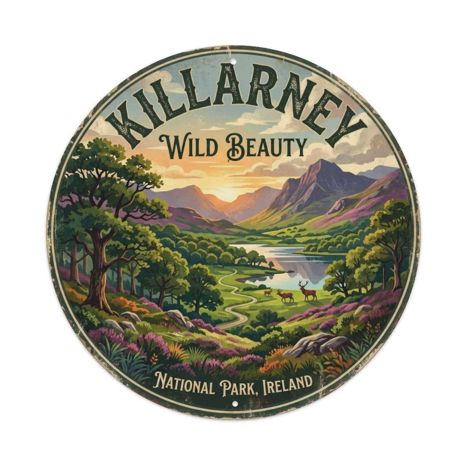 Vintage Travel Killarney National Park Metal Tin Sign Plaque Wall Decor for Cafe, Club Bar, Office, Home Garden Round Metal Poster 8x8Inch