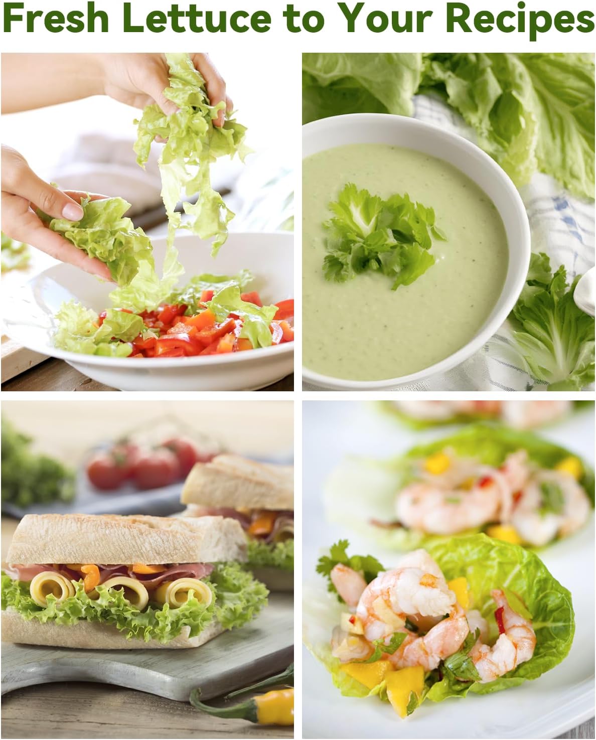 Salad Green Seed Pod Kits for AeroGarden Ahopegarden, iDOO Hydroponics Growing System Indoor Herb Garden, 400+ Seeds, Including American Fast Lettuce, Red Romaine Lettuce(8-Pods) - Image 6