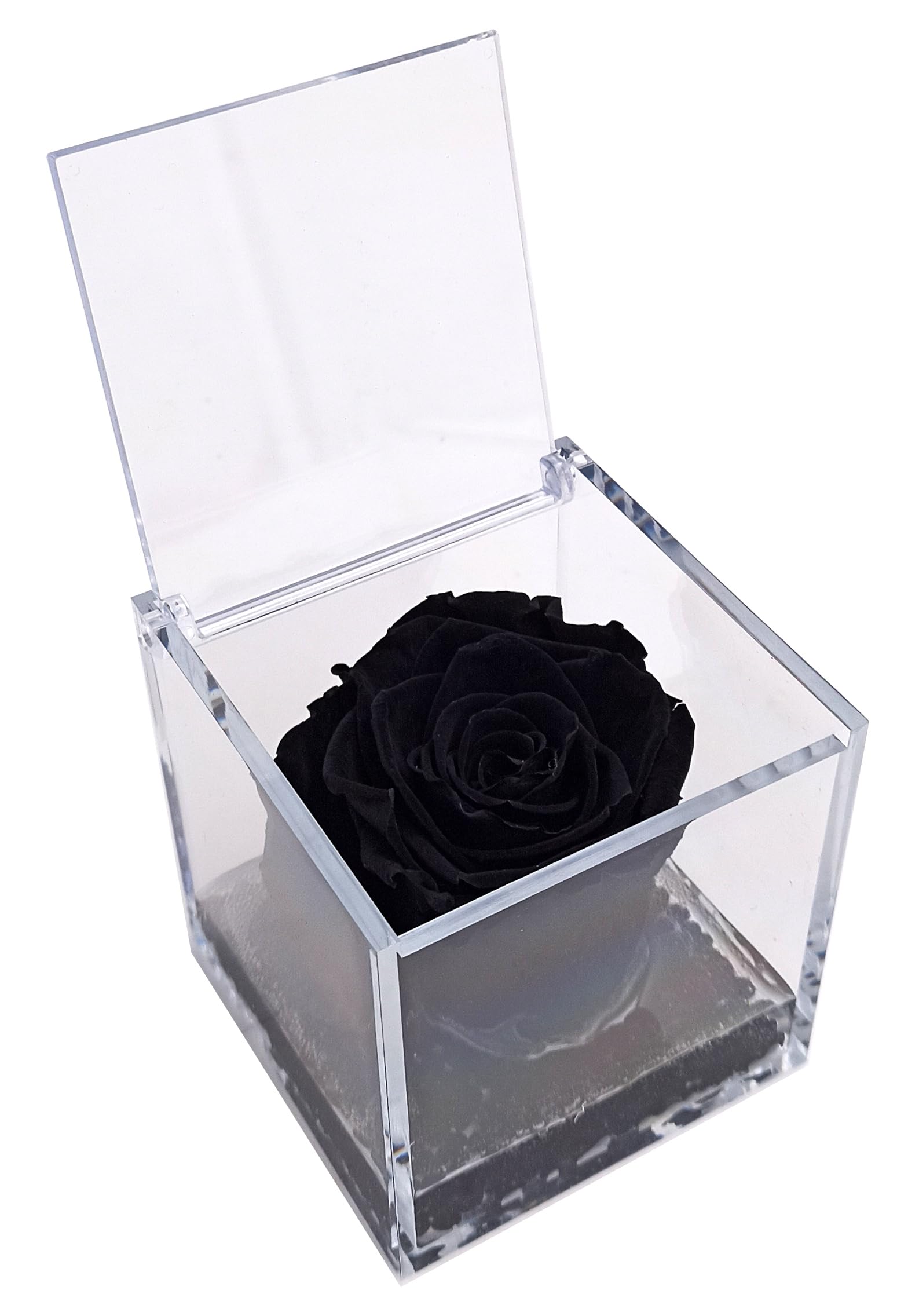 Texo di Claudio Rosso Rosa Nera Vera Profumata Stabilizzata Eterna Idea Regalo Donna Natale Festa Pensiero Mamma Moglie Fidanzata Anniversario Cerimonia Dono 8cm