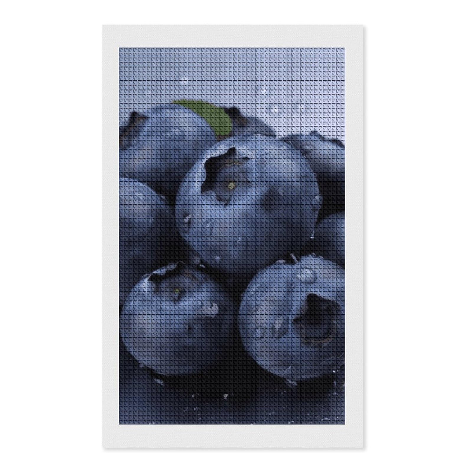 Blueberry Diamond Art Kits for Adults, DIY 5D Diamonds Painting Kits for Beginner, Round Full Drill Diamond Dots Painting, 12"x20" Diamonds Pictures Gem Art and Crafts Wall Decor