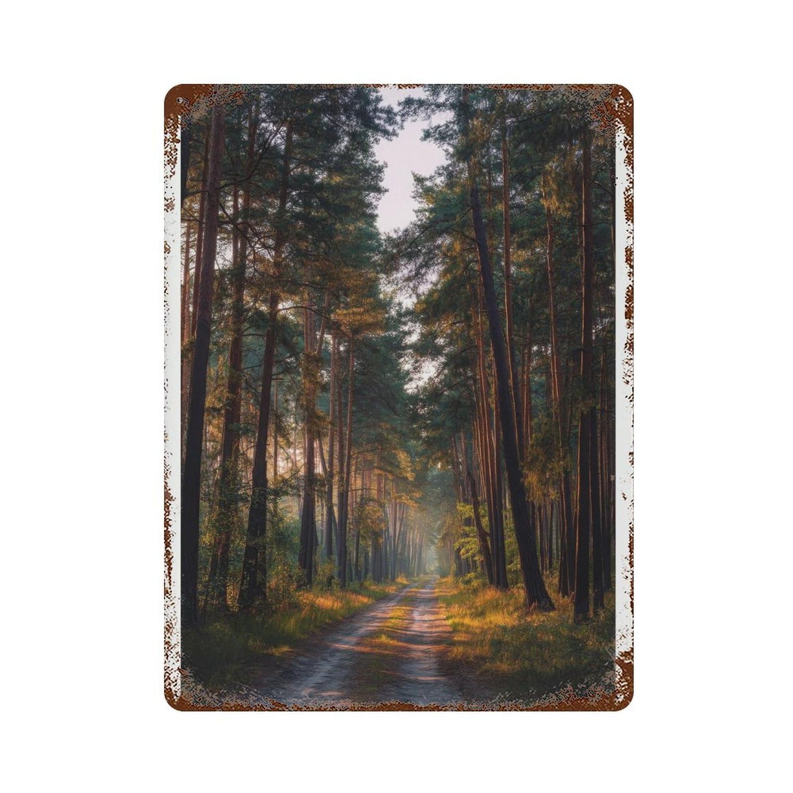 xiaoxiaoshen Kampinos National Park Poland Forest Path Watercolor Travel Nature Wall Decor Art Metal Tin Poster Modern Home Decor Art Home Bar Shop Decorations Vintage Sign 40x30cm