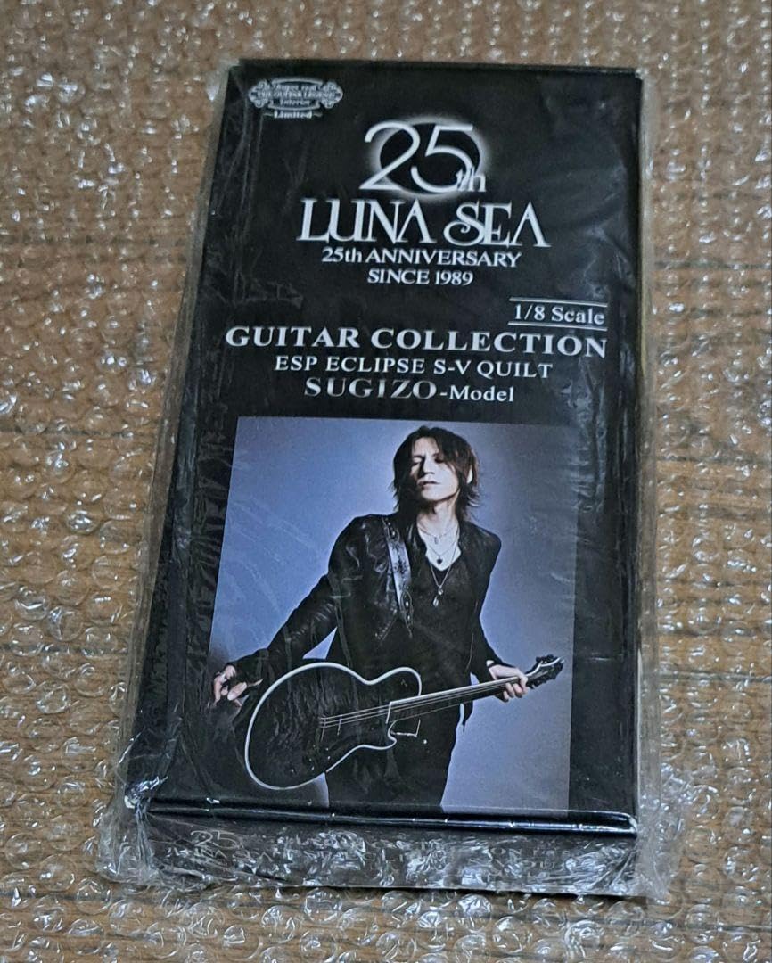 ミュージシャン SUGIZO GUITAR COLLECTION LUNA SEA INORAN I believe your heart can be your home