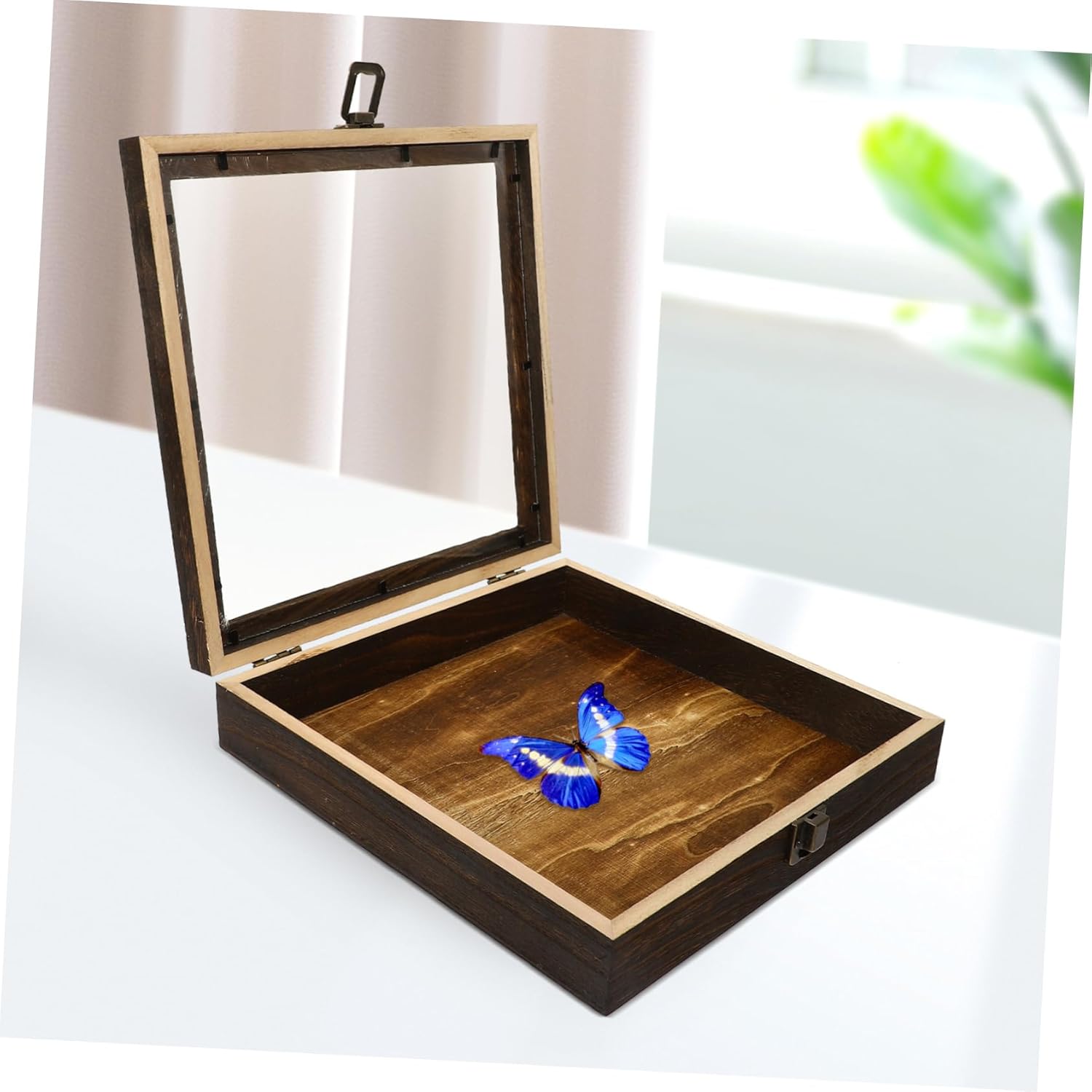 Butterfly Framed Shadow Box Memory Display Case Specimen Storage Display Box for Collectors