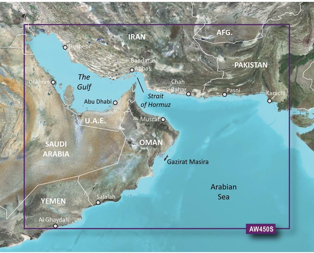 Garmin VAW450S The Gulf SD Card