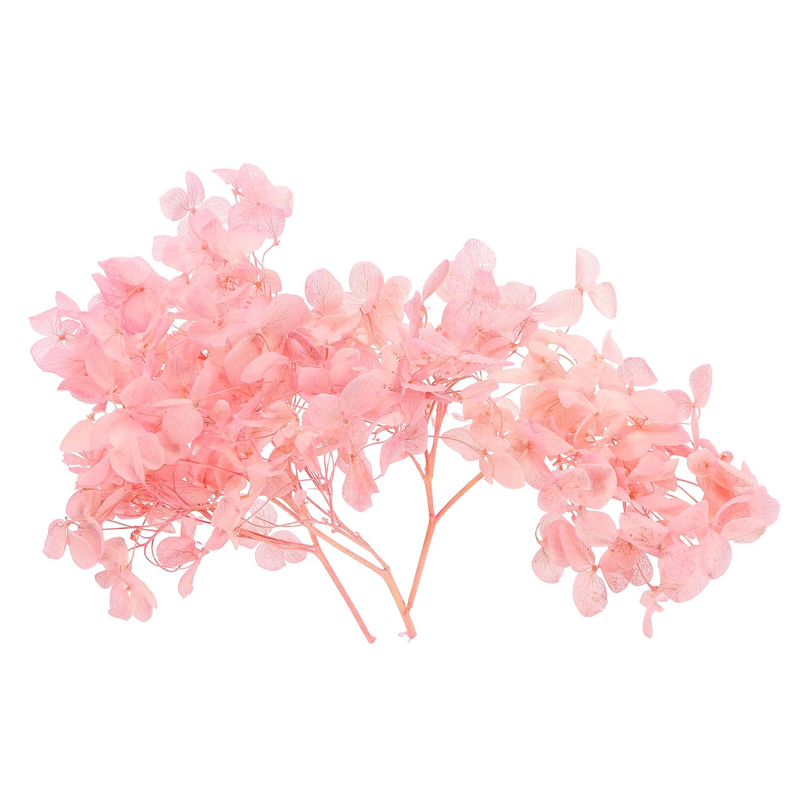 PATIKIL Dried Hydrangea Flower, 10g Natural Pressed Flowers Real Hydrangeas Petals for DIY Resin Crafts Card Floral Gift Candle Making Decor, Pink