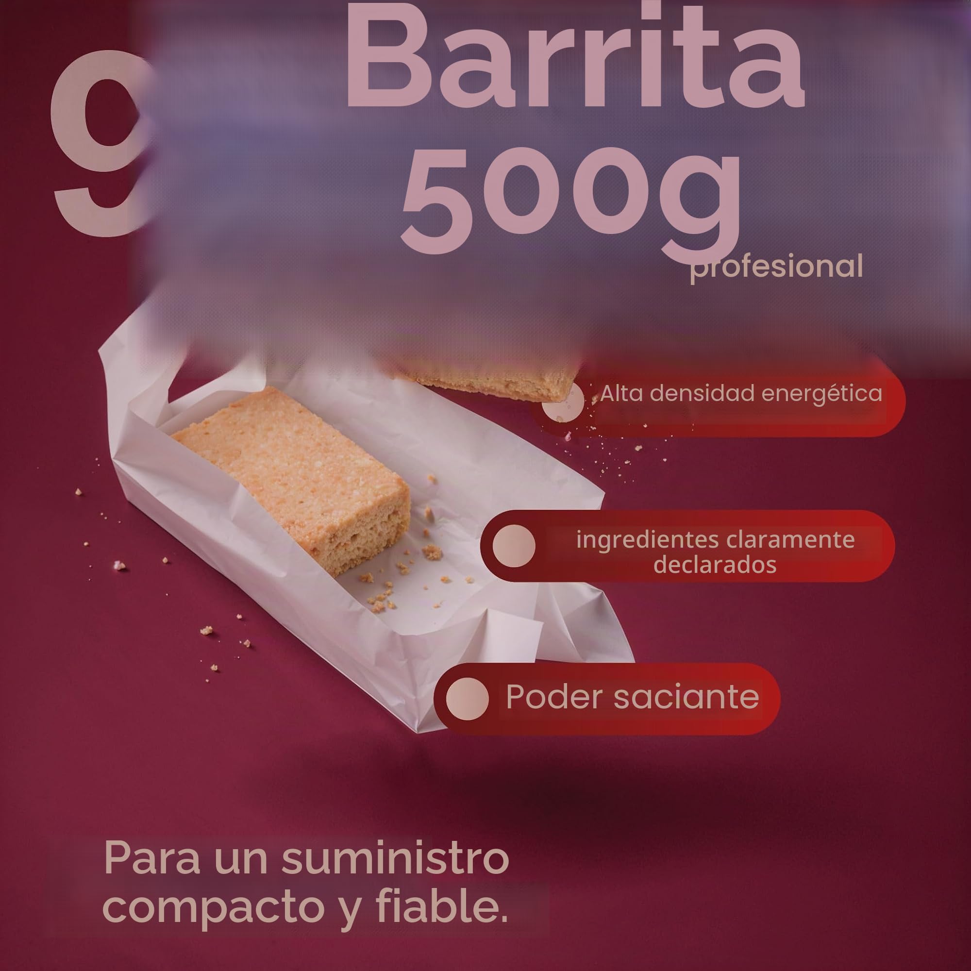 Producto especial GS-10 Comida de emergencia 24 x 500 gramos comida de larga duración - vida útil extremadamente larga (décadas)