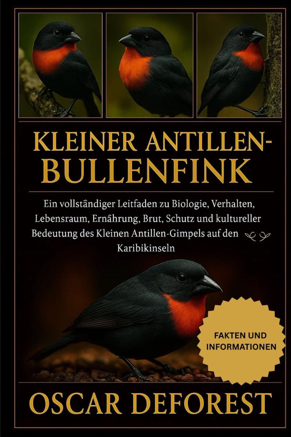 Kleiner Antillen-Bullenfink: Ein vollständiger Leitfaden zu Biologie, Verhalten, Lebensraum, Ernährung, Brut, Schutz und kultureller Bedeutung des Kleinen Antillen-Gimpels auf den Karibikinseln