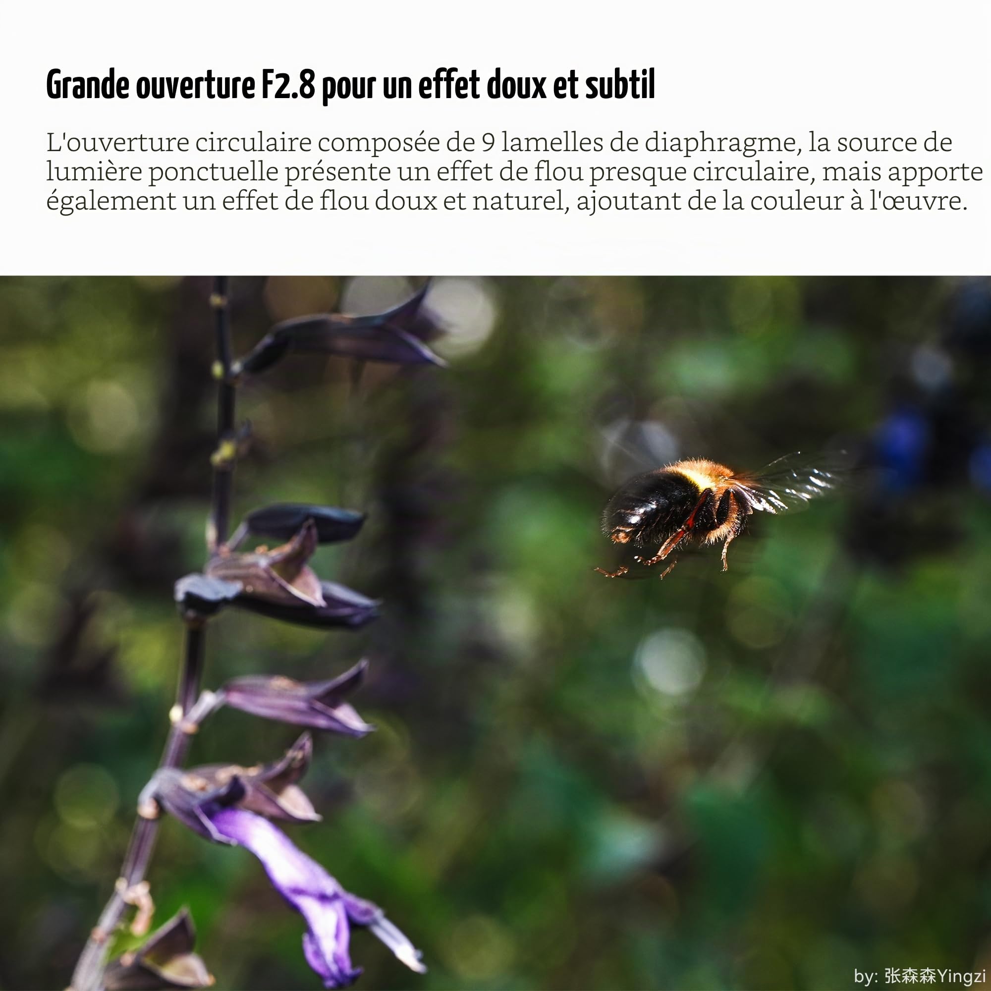 7artisans Objectif d'appareil photo sans miroir 60 mm F2.8 Macro 2X Mise au point manuelle plein cadre compatible avec les appareils photo Nikon Z-Mount Z5 Z6 Z6II Z7 Z7II Z9, etc.