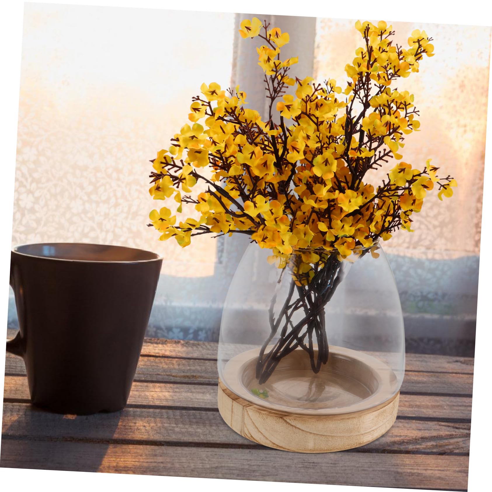 Vase Hydroponique Verre Transparent avec Base Pot Intérieur pour Propagation Eau Décor Élégant pour Table et Bureau Vase Large pour Micro-Paysage