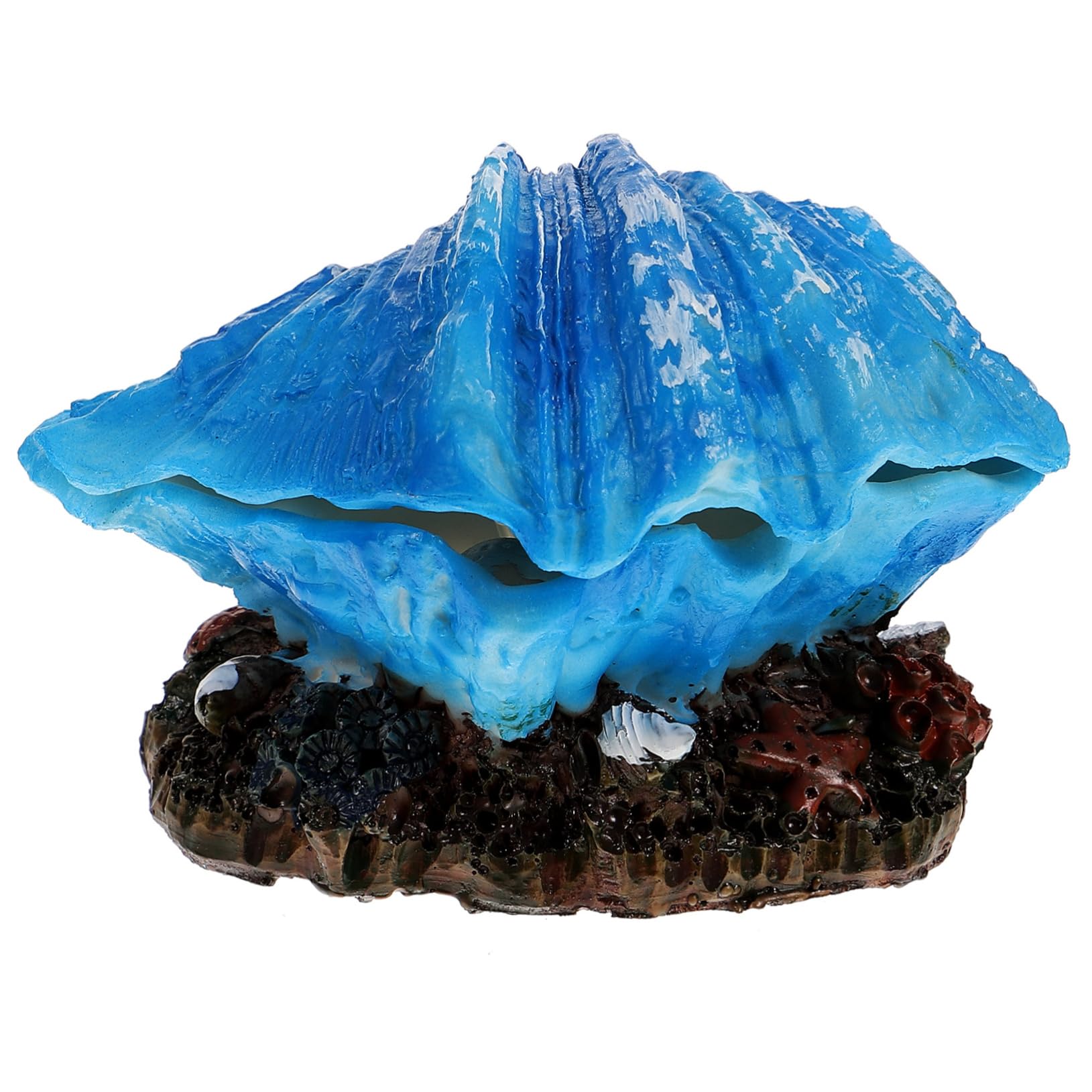 BESPORTBLE 5 Stück Aquarium Muschel Meerwassertank Dekoration Betta Aquarium Versteck Blasenherstellung Muschel Landschaftsbau Dekoration Dekoration