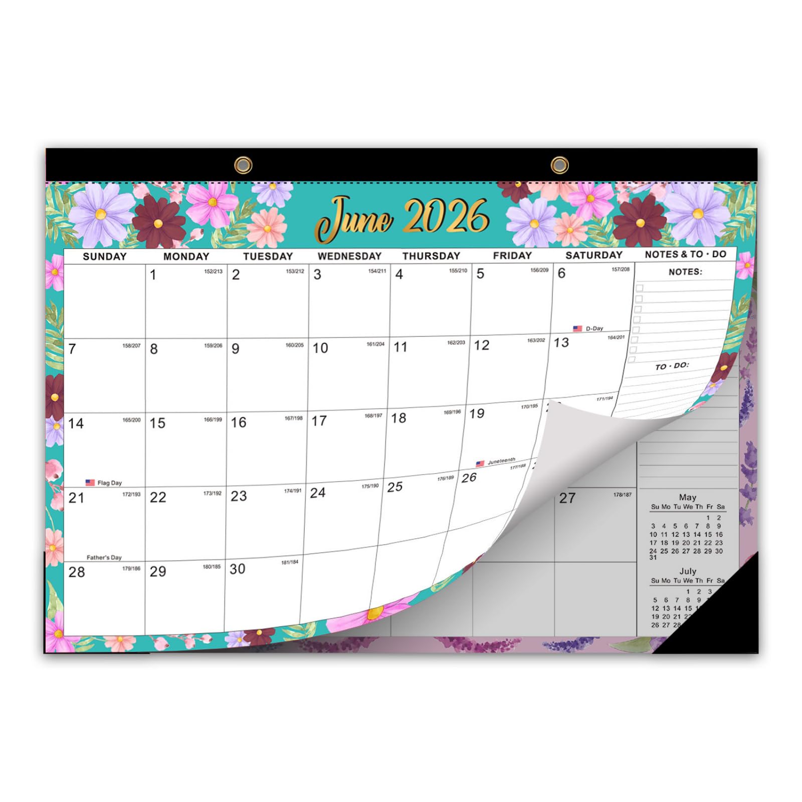 Calendrier mural juin 2026 décembre 2027 19 mois détachable autocollants planification bureau