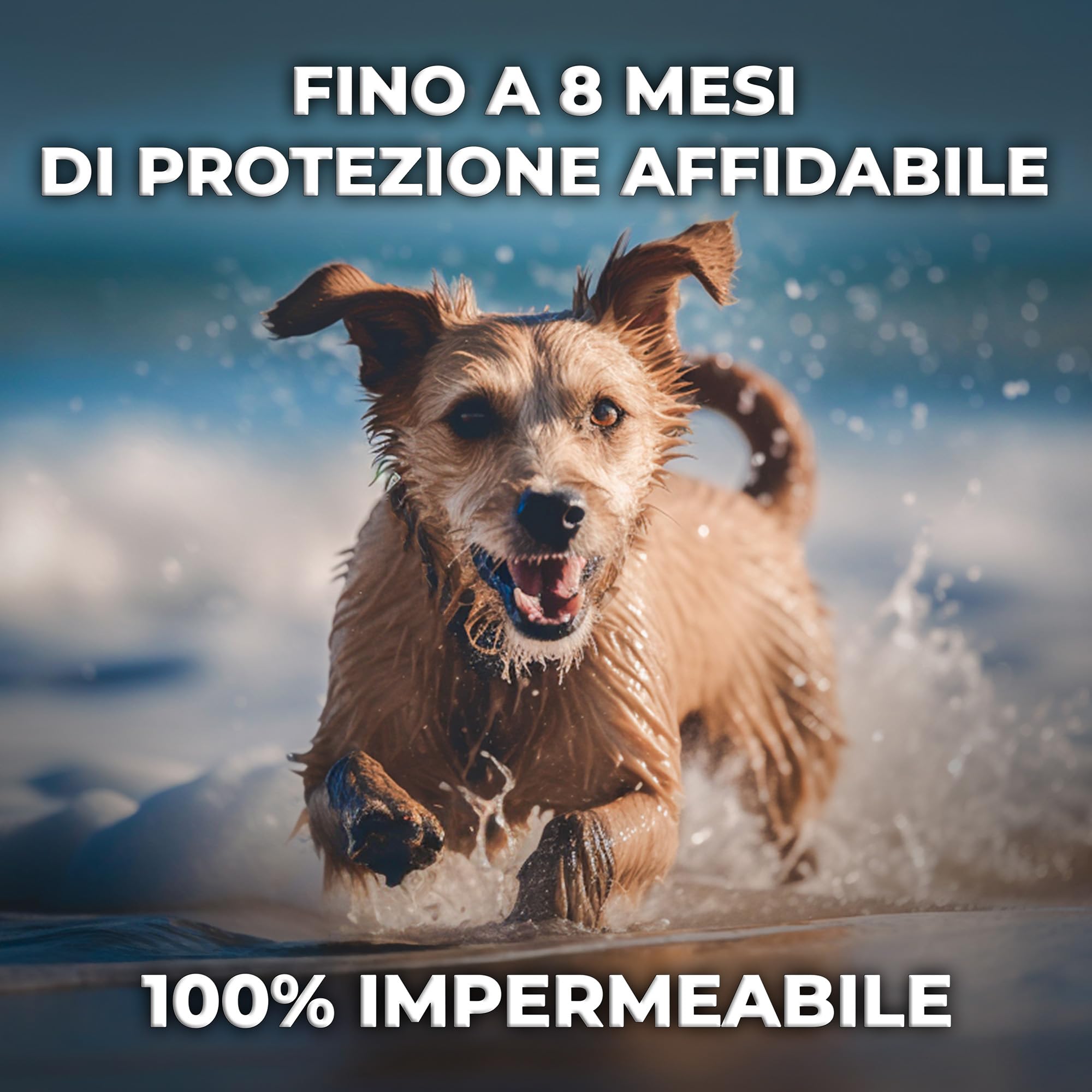 Monked | Collare Antipulci e Zecche per Cani Naturale | Fino a 8 Mesi Protezione | Regolabile | Impermeabile | Protezione Lunga Durata (Verde, Universale)