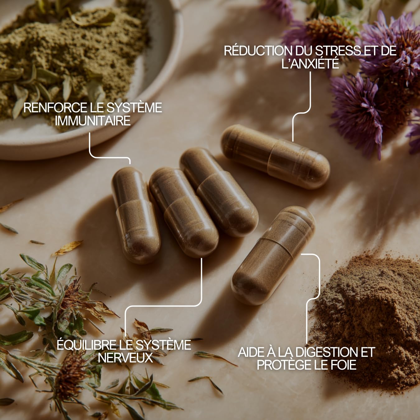 Basilic Sacré Tulsi 500 mg – Anti-Stress, Immunité & Digestion – 60 Gélules Végétales