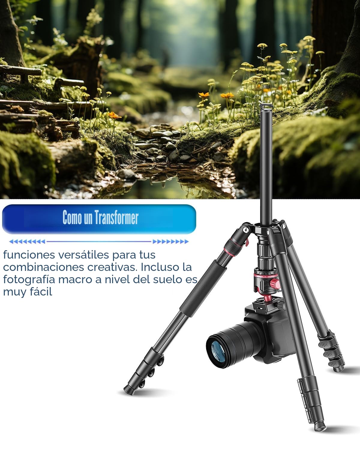 CAMBOFOTO Trípode para Cámara y Móvil 173 cm con Monopié y Rótula 360 | Trípode profesional con clip para tablet, carga 6 kg, placa rápida 1/4, bolsa de transporte incluida, ideal viaje y vídeo