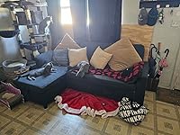 Review Image by Itala Itala