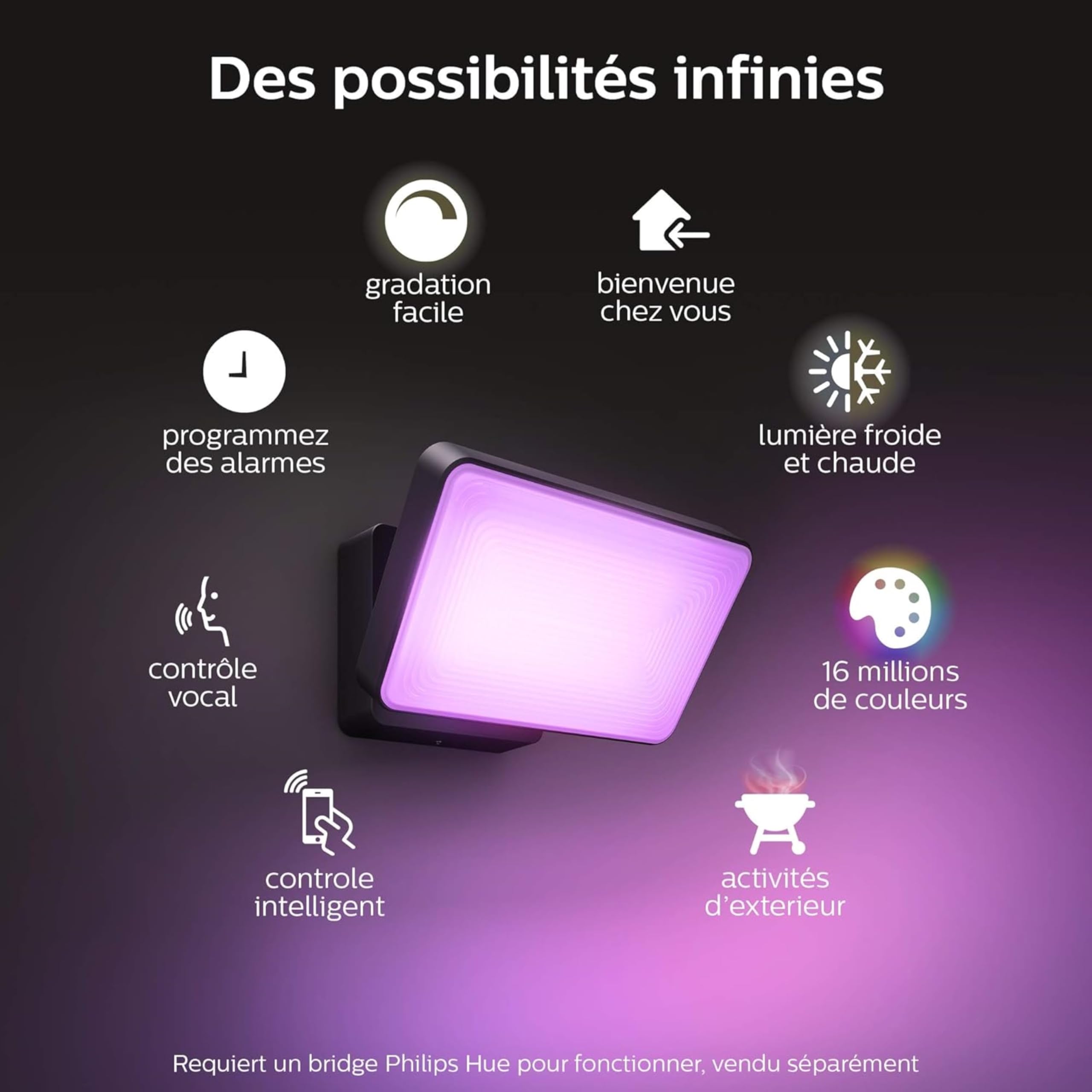 Philips Hue White & Color Ambiance Projecteur Extérieur DISCOVER, Éclairage extérieur en Aluminium Noir, Projecteur lumière compatible avec Alexa, Google Assistant et Apple Homekit