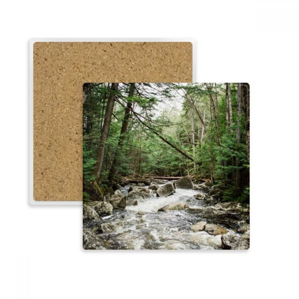 Coaster Tasse Pierre Absorbante Nature Science Multicolore