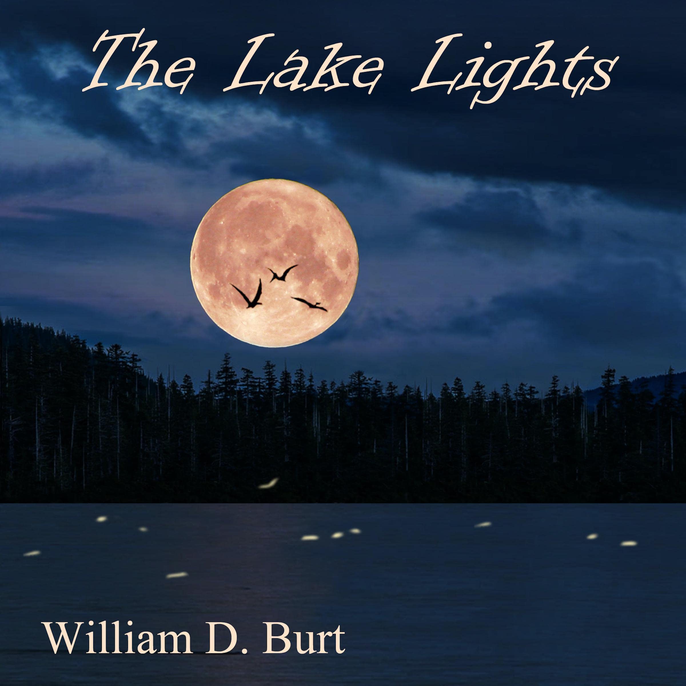 Cover art for The Lake Lights