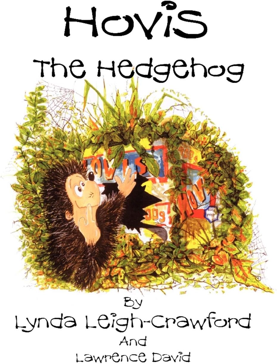 Hovis the Hedgehog: Bonfire Night Paperback – 16 Oct. 2009