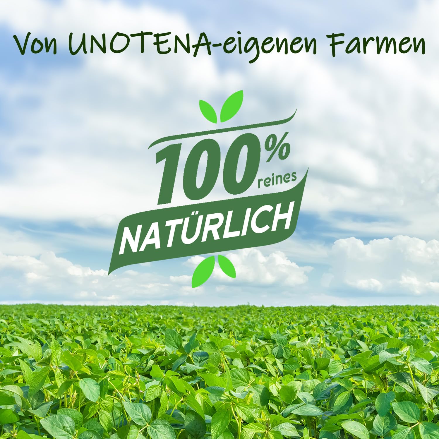 UNOTENA Sojawachs Flocken für Kerzen, Wachs Kerzenwachs 226G/9KG/18KG, Kerzenwachs zum Gießen, 100% Natürliches Öko Sojawachs für Kerzen[ 4.5KG ]