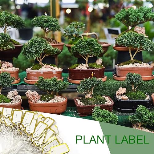 Miniatura 6 de 500 etiquetas de precio de joyería con cuerda adjunta, etiquetas de precio de papel, etiquetas de exhibición de etiquetas de ropa, etiquetas de