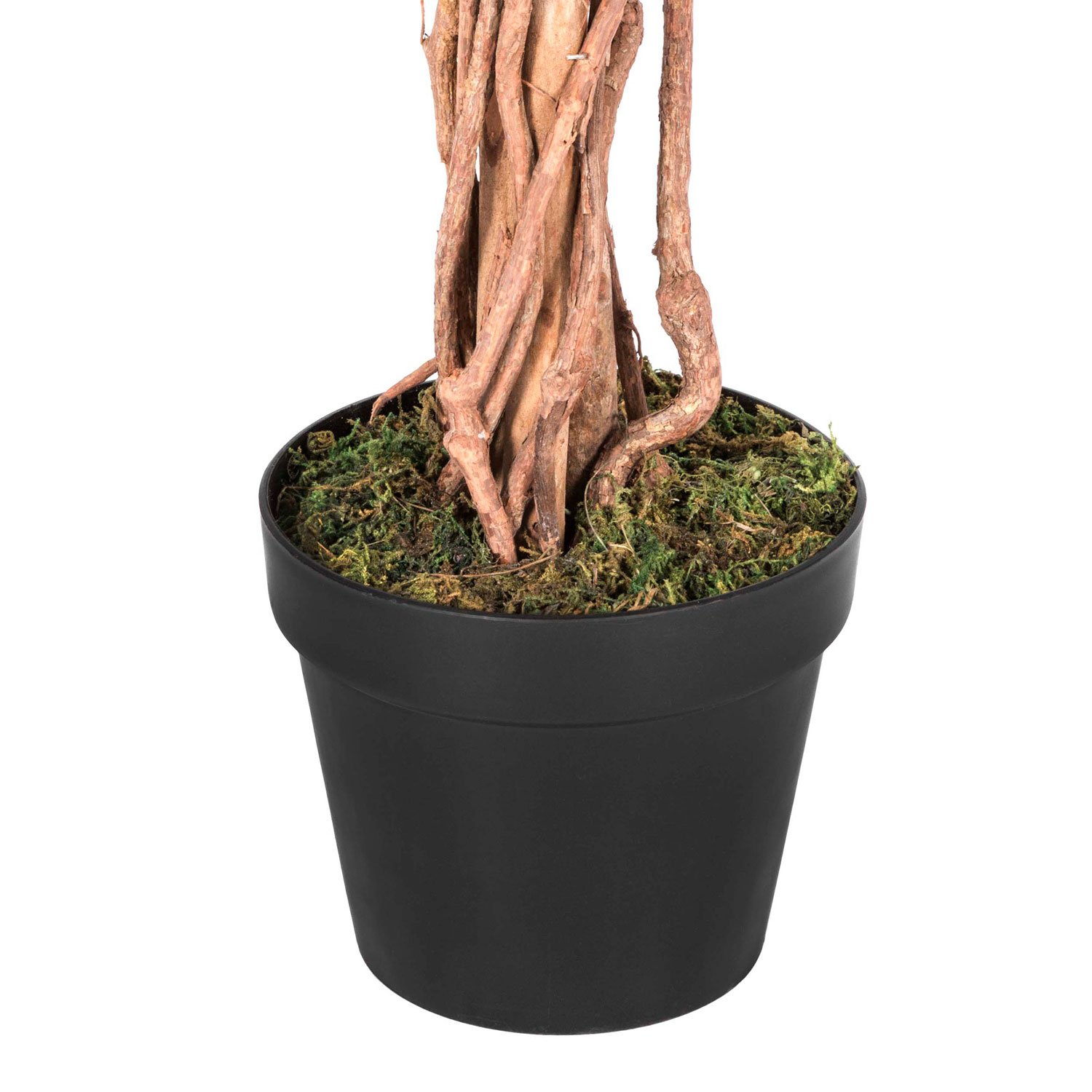 Buy HOMESCAPES 4 Feet Green Ficus Tree With Real Wood Stems and