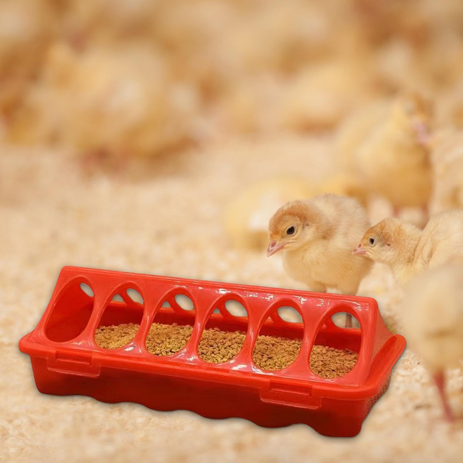 Comedero para pollitos, comedero para codornices, alimentador automático para aves de corral con 6 compartimentos, 2 bebederos para aves de corral para palomas, loros, pollitos, codornices, patos