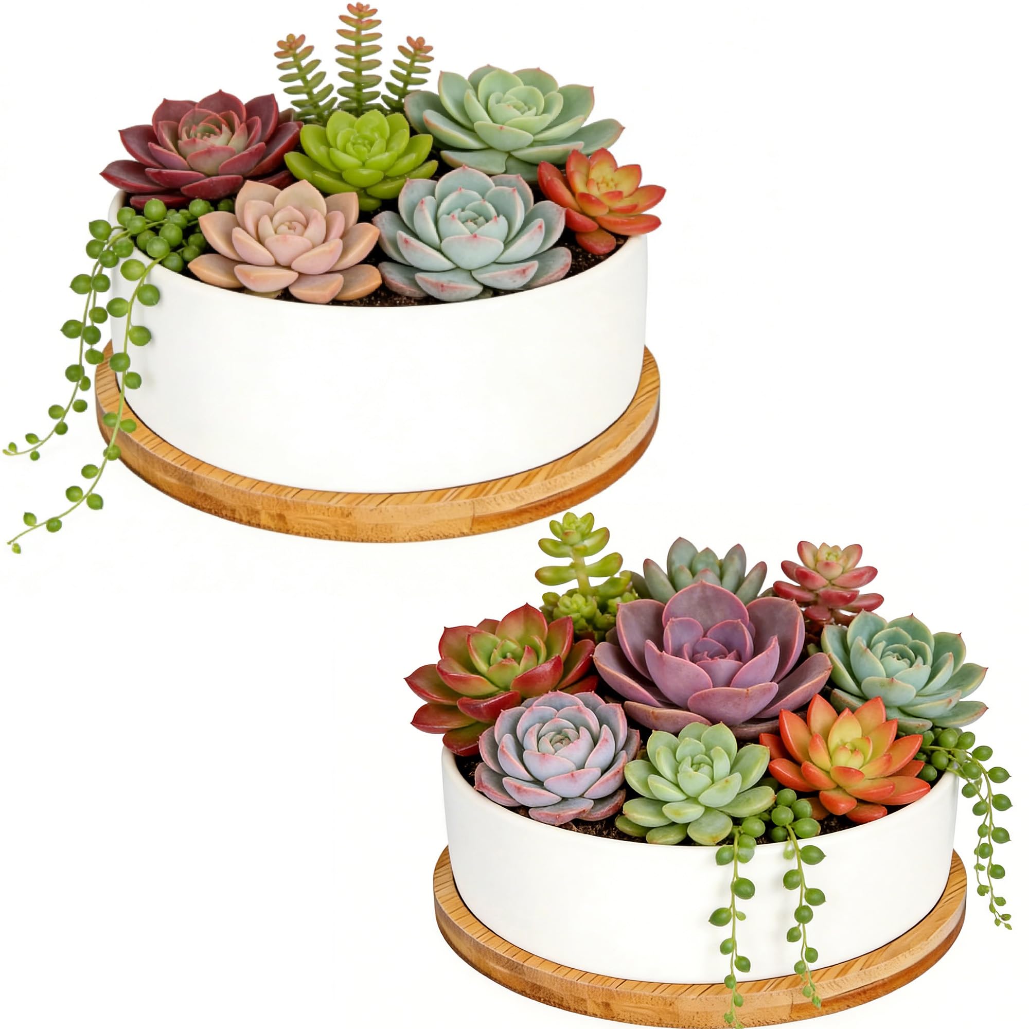 ARVINKEY White Ceramic Succulent Plant Pots, Set of 2 Round Planter Small Cactus Container, Bonsai Pots, Succulent Pots with Drainage Hole& Bamboo Tray (No Plant) — image 1