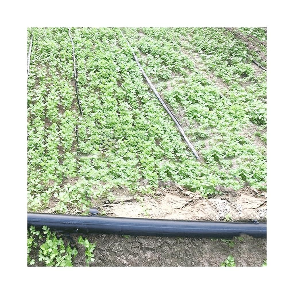 Cinta de goteo de PE, Espaciado múltiple del agujero de la manguera empapador cinta ULTRAVIOLETA los 30m 16m m 0.2m irrigación por goteo PE for el invernadero(2Hole Space 40cm)