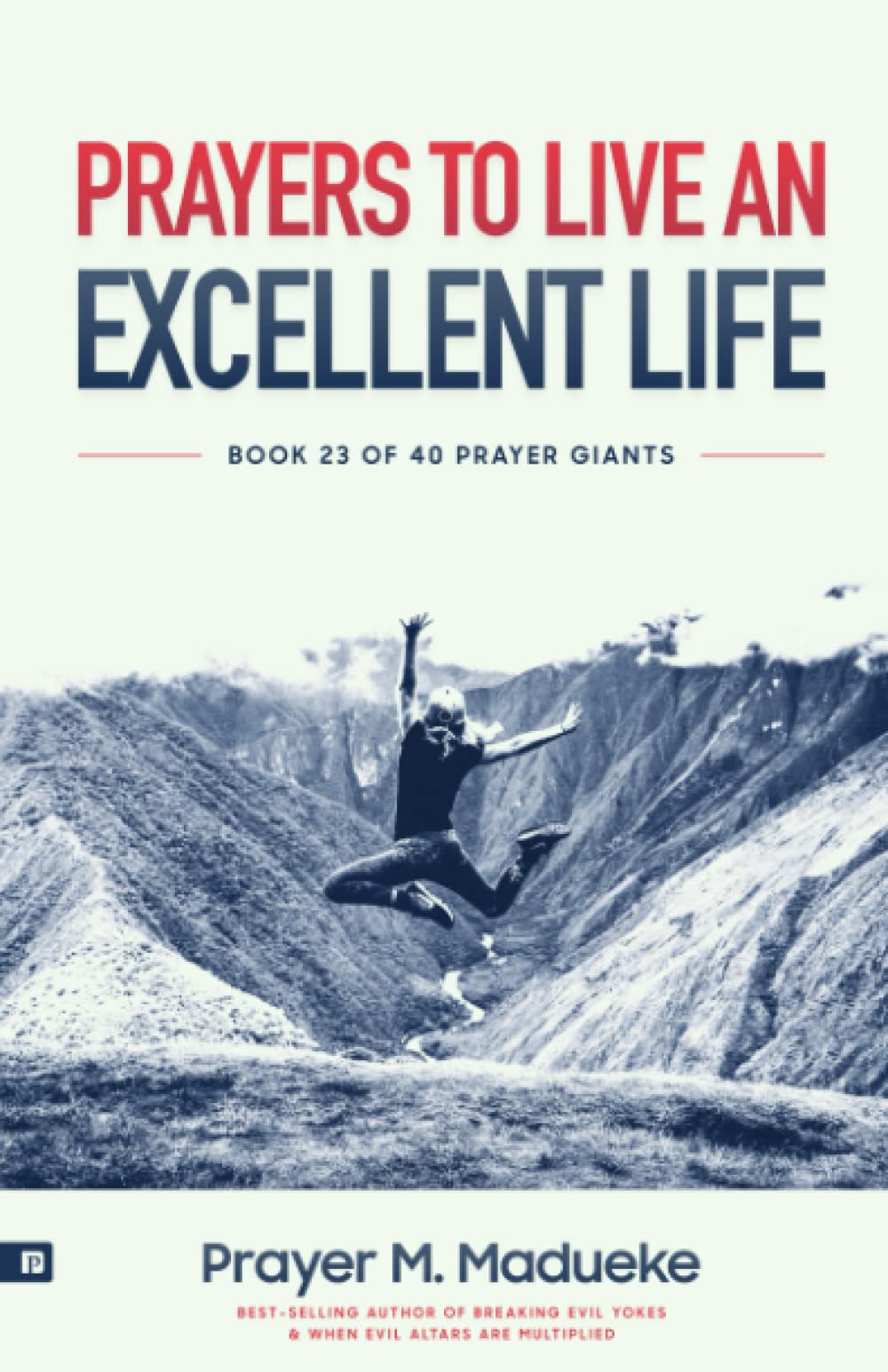 Prayers to Live an Excellent Life: Faith-Filled Declarations to Give Strength and Hope to Your Soul, Life Changing Prayers to Lead a Good Life (40 Prayer Giants)