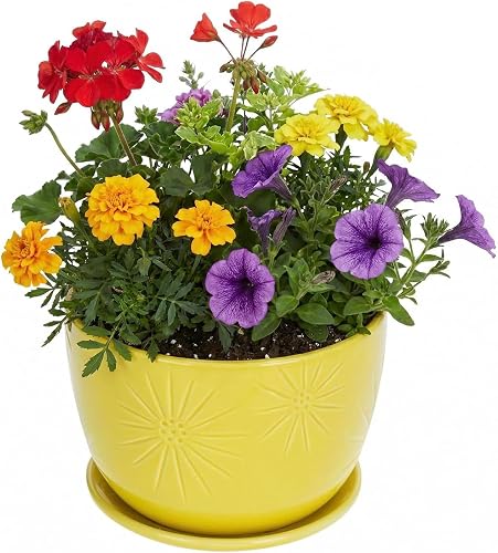 MyGift 7 Inch Round Yellow Ceramic Plant Pot with Drainage Hole and Attached Saucer, Modern Decorative Embossed Sunburst Planter Container for Indoor Home Garden