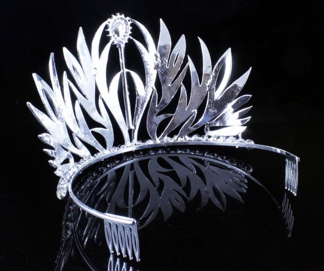 Sexy Floral Clear Austrian Crystal Rhinestone Large Tiara With Hair Combs Crown Pageant Beauty Queen Princess Birthday Party Hair Jewelry Prom T11979