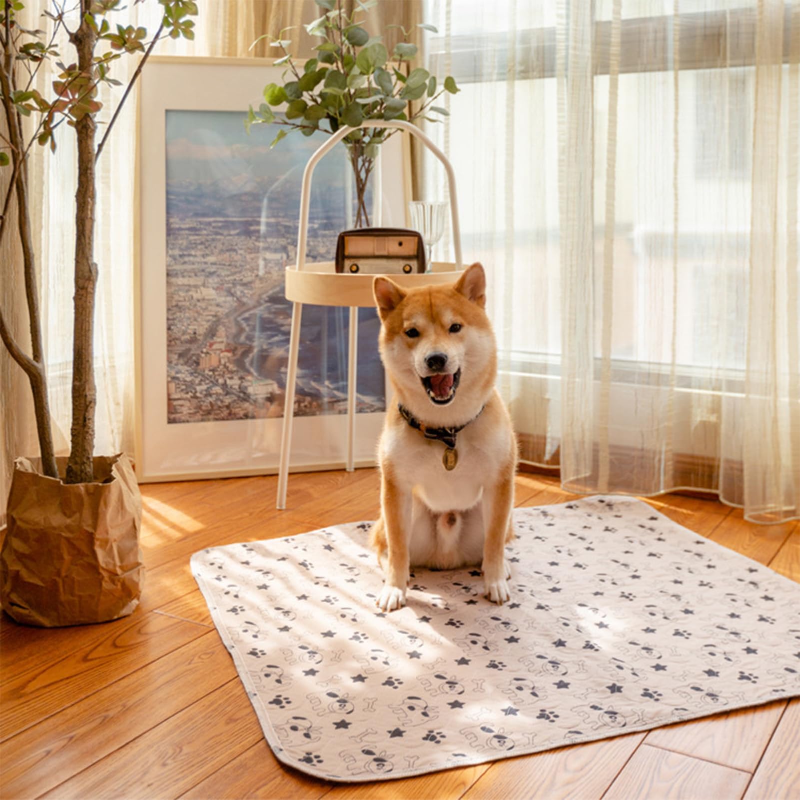 View 3