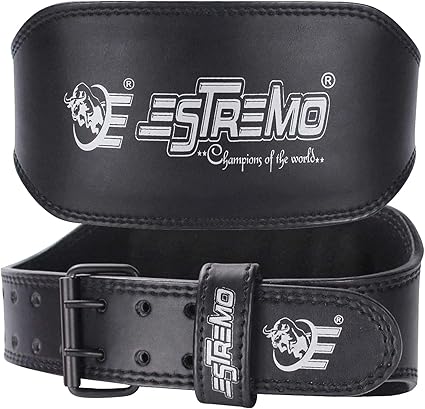 leather back support belt