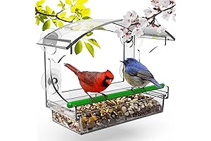 Window Bird Perch with 4 Strong Suction Cups