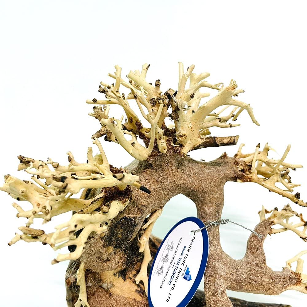 THATUWOOD Driftwood Bonsai for Fish Tank - Decor Aquascape Wood - Artificial Handmade Aquatic Bonsai Home Decorations (Bonsai Tree) - Image 3