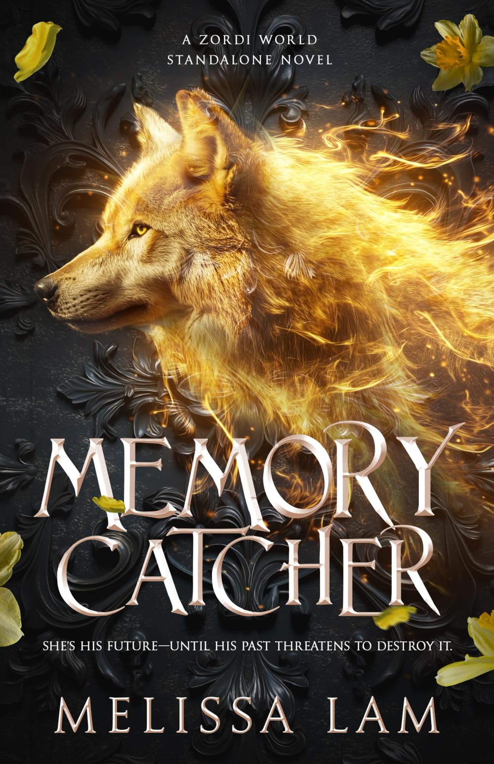Memory Catcher: A Zordi World Standalone Novel