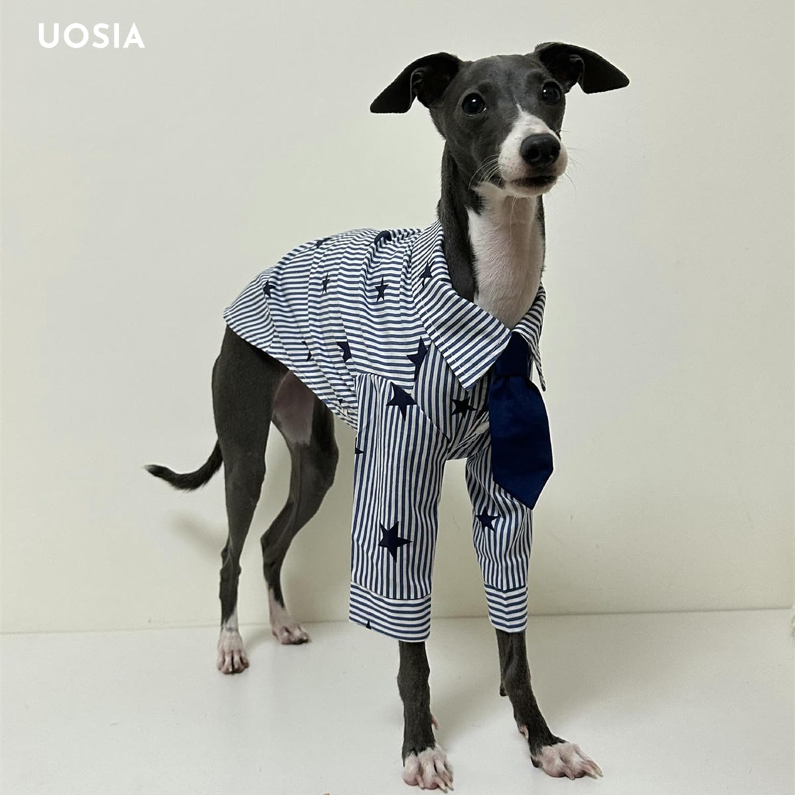 Camisa de Perro a Rayas Ropa de Perro para Perros pequeños Niño Niña Ropa de Galgo Italiano con Corbata Atuendo de Cachorro Suave Camisetas Formales de Perro con Estampado de Estrellas