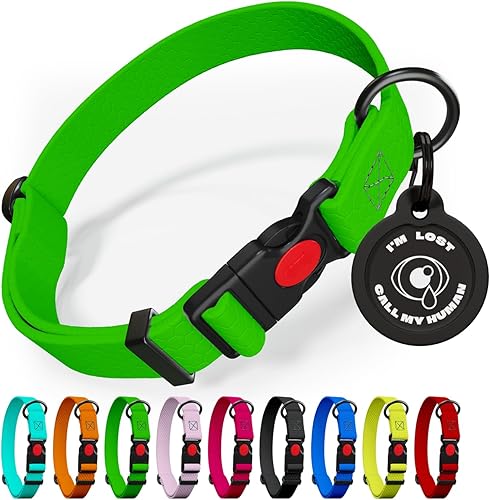 Collar ajustable para perro con hebilla de bloqueo de seguridad, fabricado en Estados Unidos, collar de perro resistente al agua con panal para