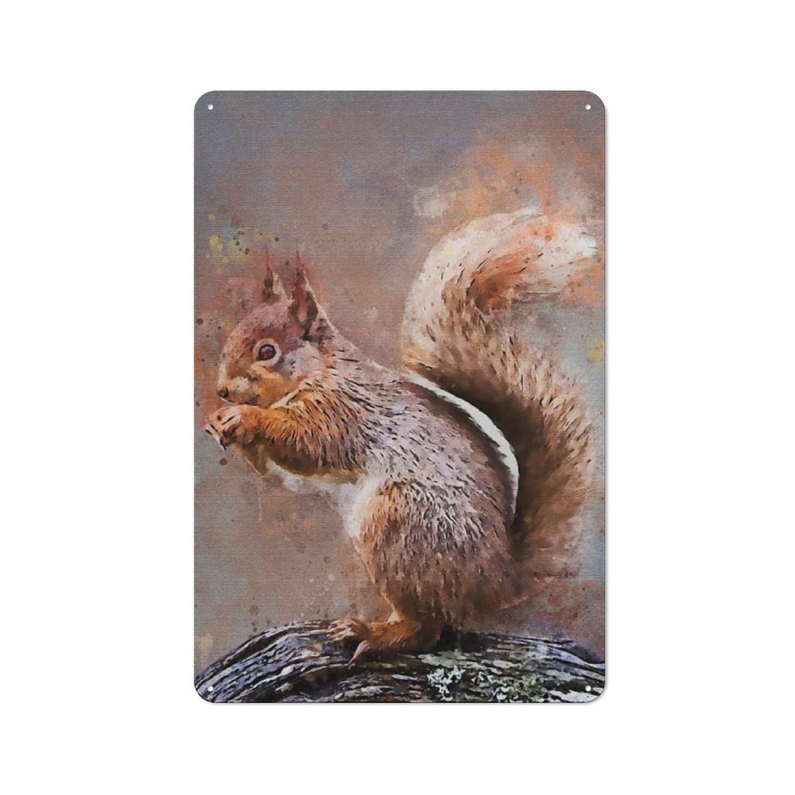 Junmoney Splatter Squirrel Metal Plaque 30X20cm With For Garage Wall, Rustic Decor, For Winter Interiors And Metal Sign Collectors