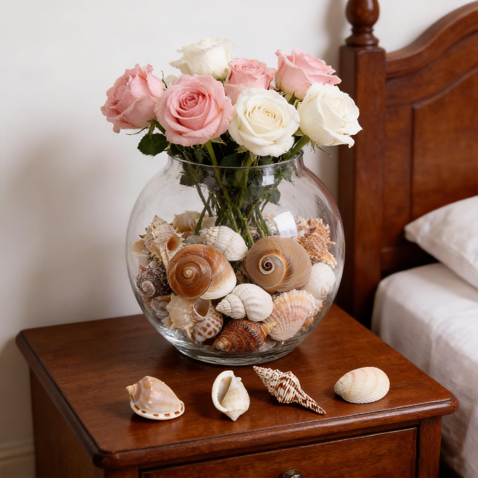 21 Pièces Conchiglie di Mare Naturali, Set di Conchiglie dis Mare, Decorazioni Acquario Conchiglio Miste da Spiaggia, 3-9 CM Acquario Piccolo Conchiglia Per Shell Decorazione Acquarios