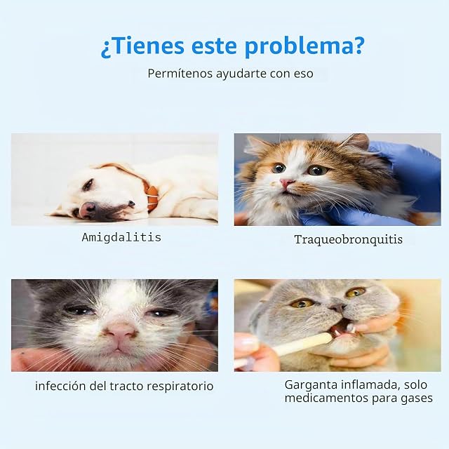 Foto 5 de 7 de Espaciador De Inhalador De Aerosol Para Mascotas, Sala De Aerosol Veterinario