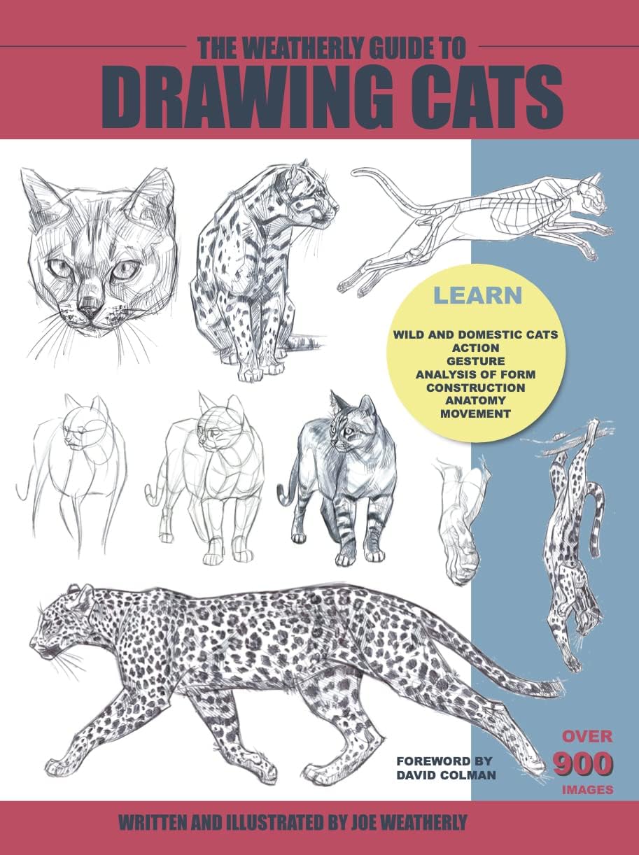 The Weatherly Guide To Drawing Cats