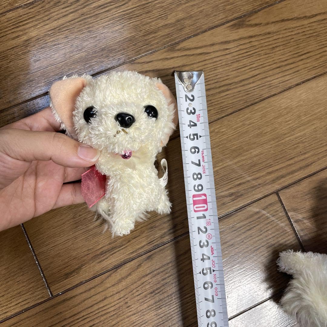 Amazon.co.jp: チワワ くぅちゃん ぬいぐるみ : おもちゃ