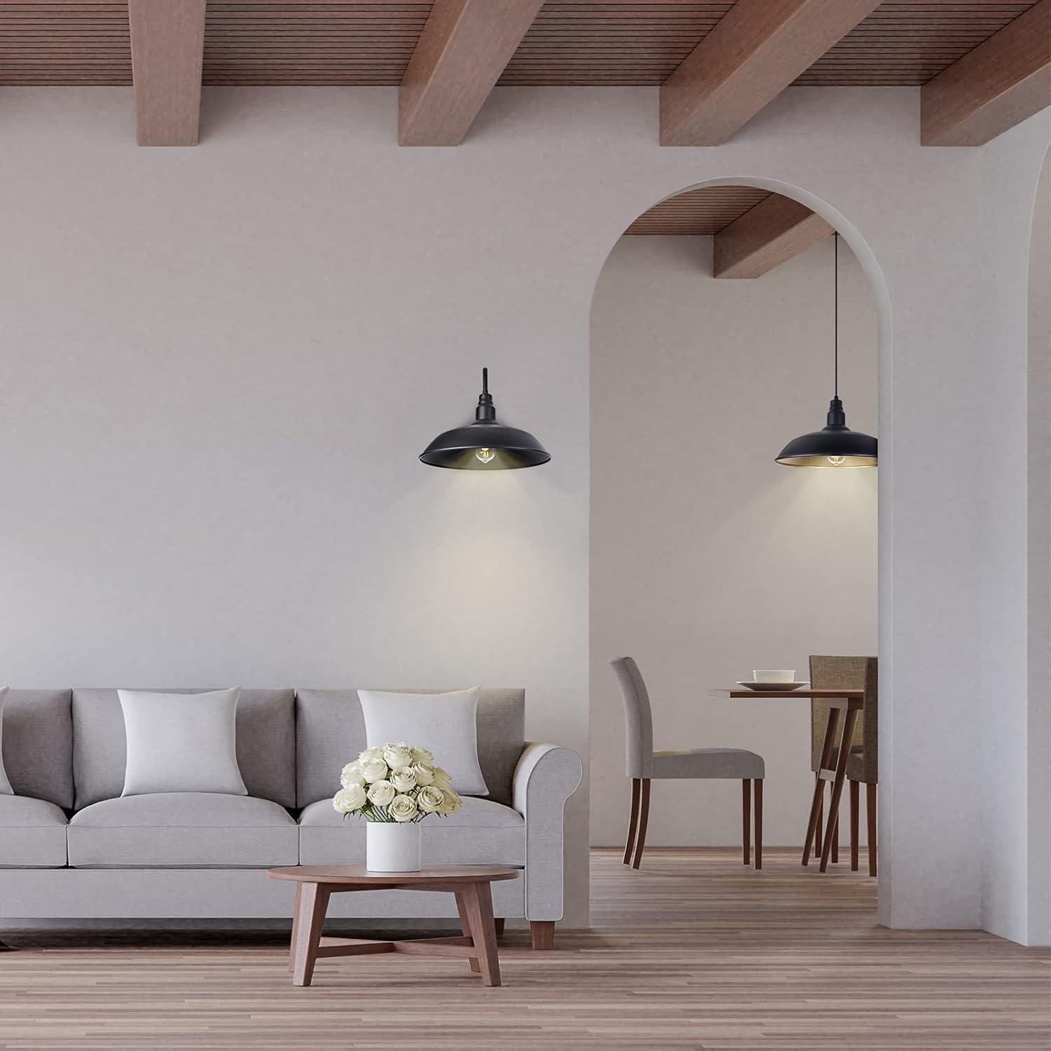 2 Pack (1 * 10" Dome + 1 * 16" Dome) Matte Black Outdoor Farmhouse Pendant Light for Kitchen, Dinning Room, LMSP2201