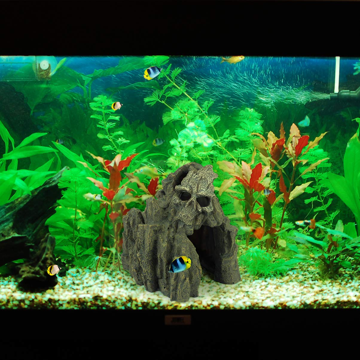 Amazon | ledmomo 水槽オブジェ 爬虫類 シェルター 熱帯魚 隠れ家 