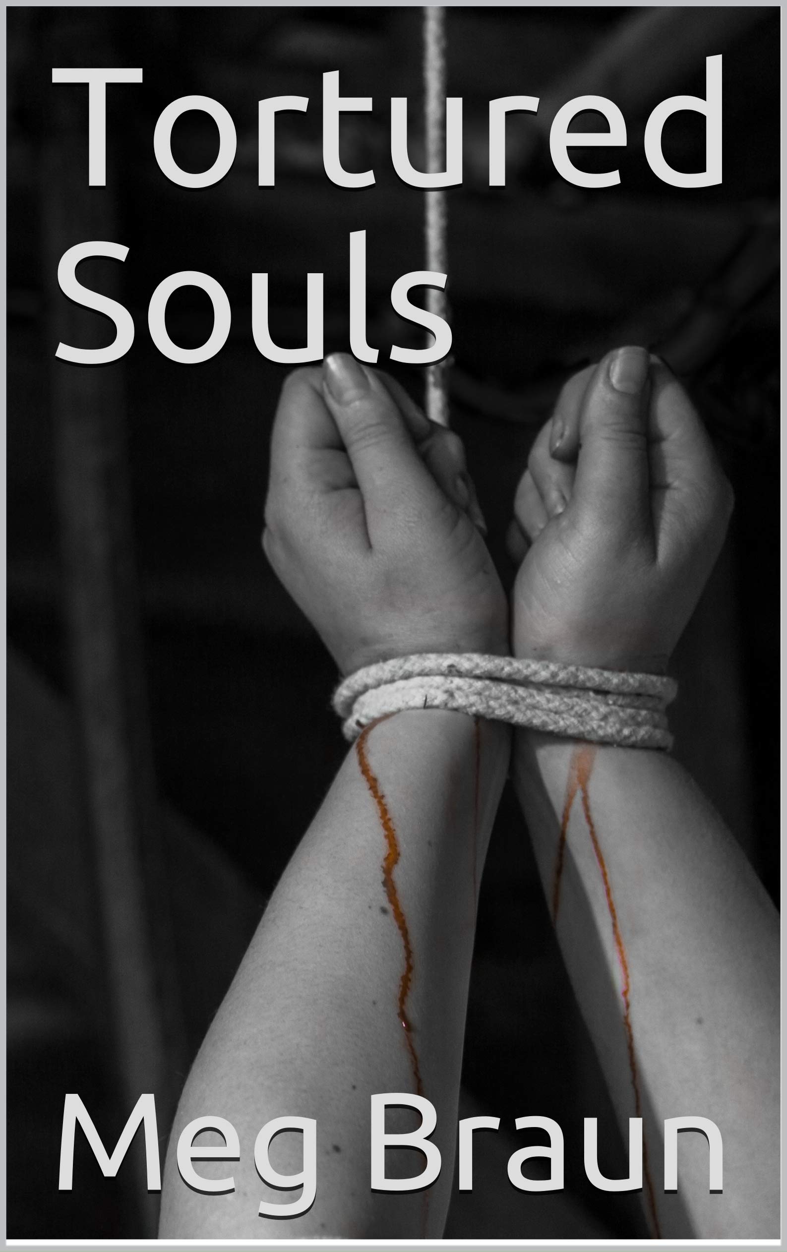Tortured Souls (James McGregor Mysteries Book 1)