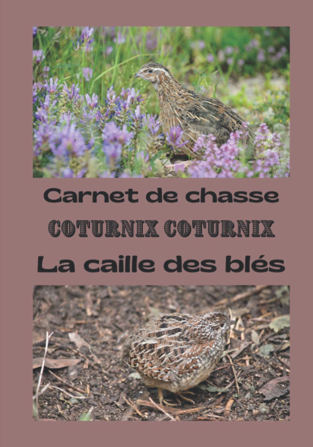 Carnet de chasse Coturnix Coturnix la caille des blés: carnet de bord du chasseur de caille / cahier à remplir avec ses meilleures prises / livre de chasse à l'arrêt