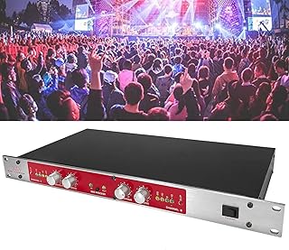 882I Professional Audio Processor, Autotune Vocal Processor, Audio Mixer Processor, Music Production Equipment, Sound Exciter, Sound Mixer for House Karaoke, Stage